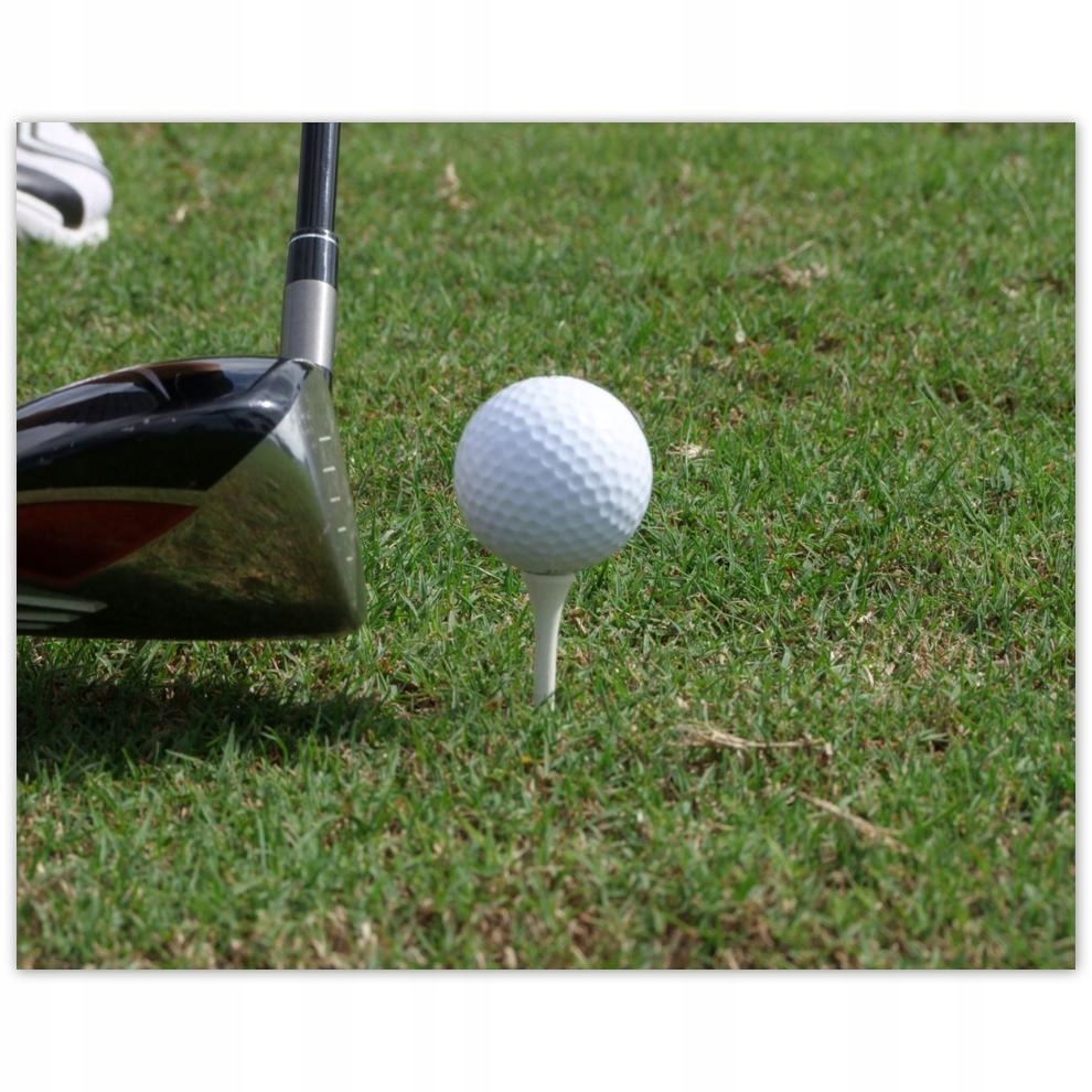

Plakat 50x40 Golf