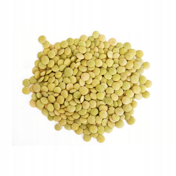 Levně Zelená čočka Larida 10 kg – vysoká kvalita Tola