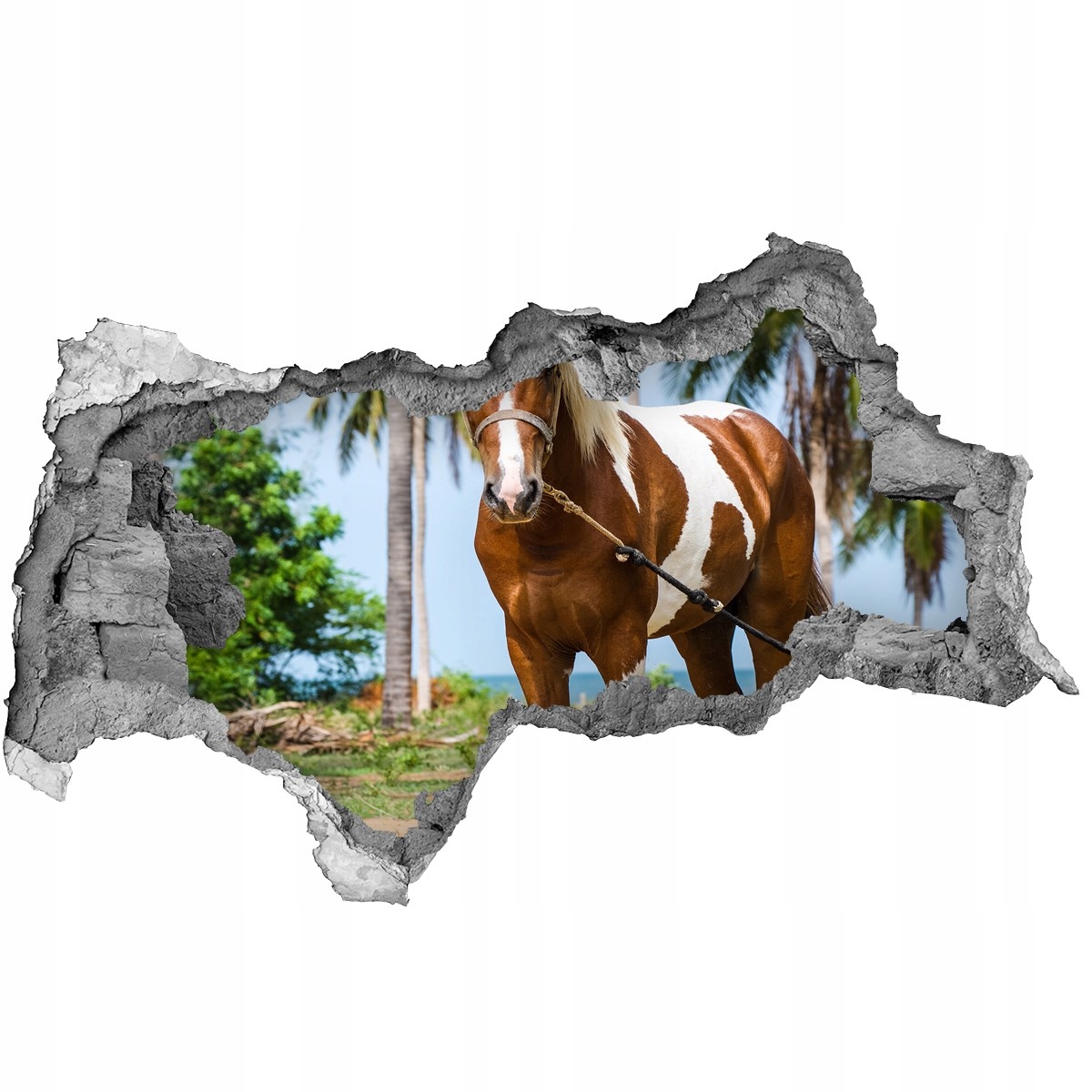 

Dziura 3d fototapeta Naklejka Łaciaty koń 115x88