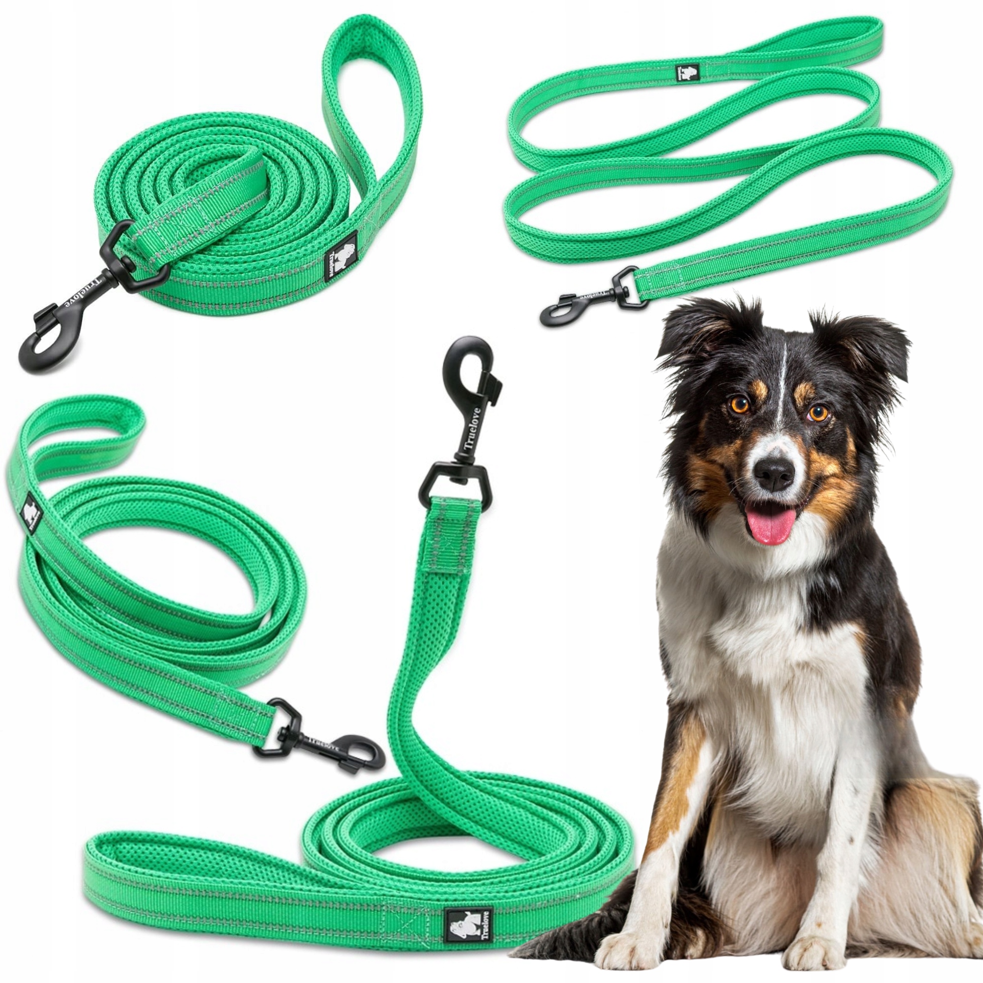Levně Vodítko Pro Psa Odrazová Silná Truelove Active Zelená 200 CM Velikost M