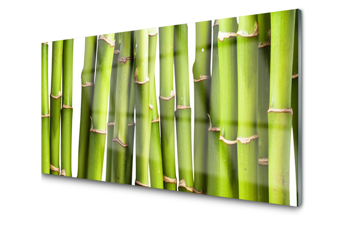 Sklenený panel Bambus Spa Rastlina 100x50