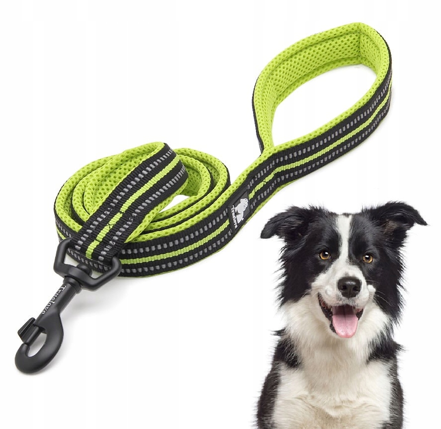 Levně Vodítko Pro Psa Reflexní Silná Truelove Active Limetková 200 CM, Velikost M