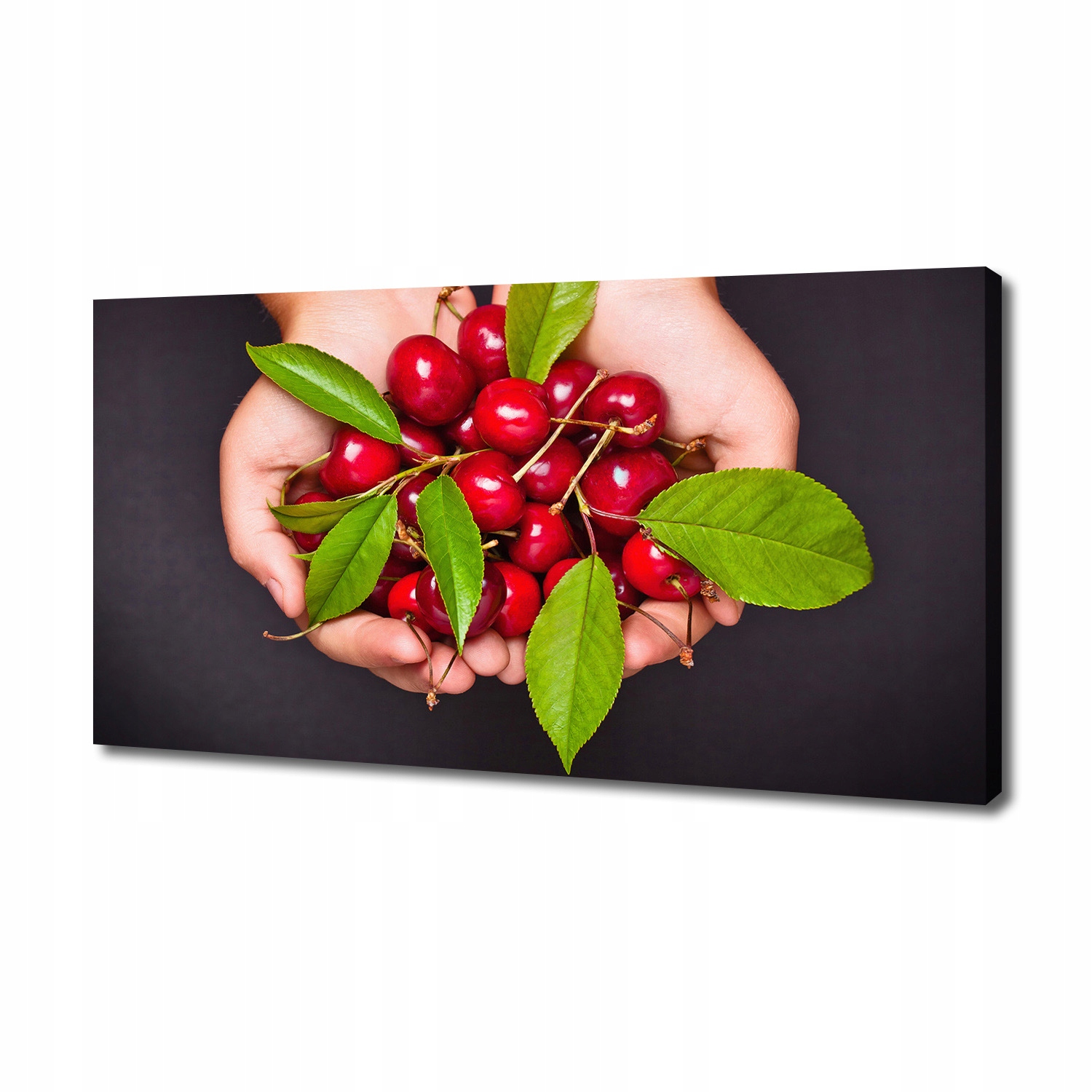 

Foto obraz na płótnie Wiśnie w dłoniach 140x70 cm