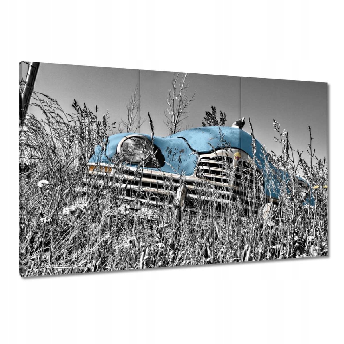 Obrazy 120x80 Světle Modrá Stařec Zabytek