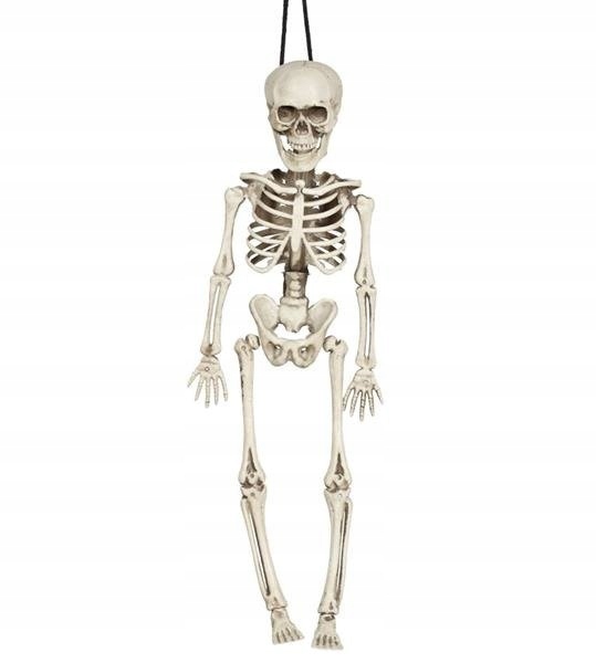 

Szkielet Wiszący Kościotrup 40CM Halloween Kostek