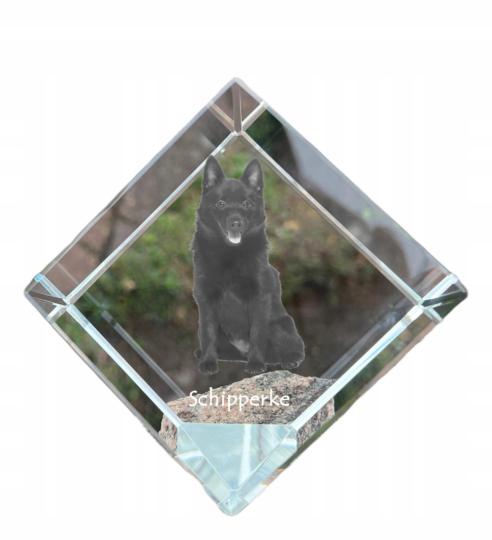 Schipperke krištáľová kocka s fotografiou psa, ozdoba na stôl, tlačidlo