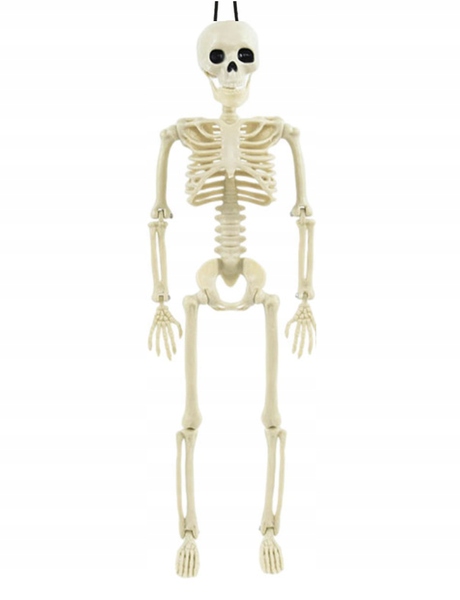 DEKORACJA WISZĄCA SZKIELETOR HALLOWEEN 40 CM Kod producenta SZKIELET40