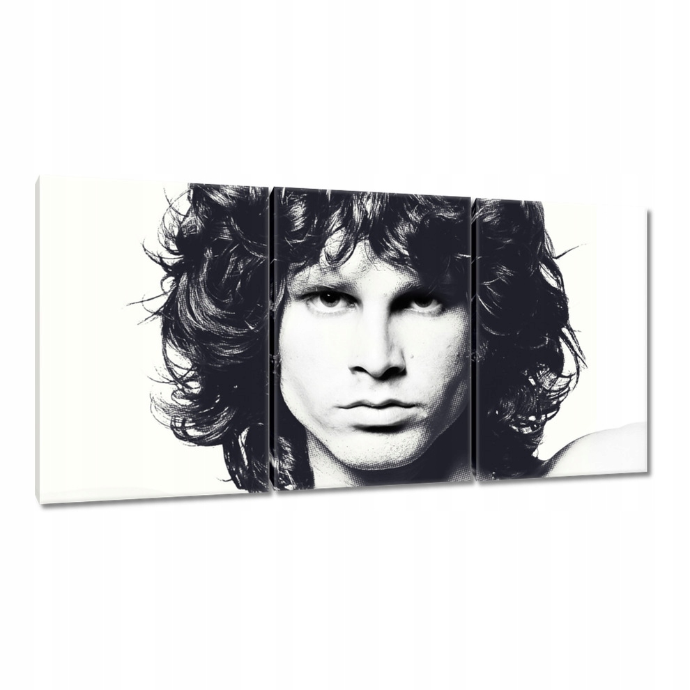 

Obrazy 120x60 Wokalista The Doors