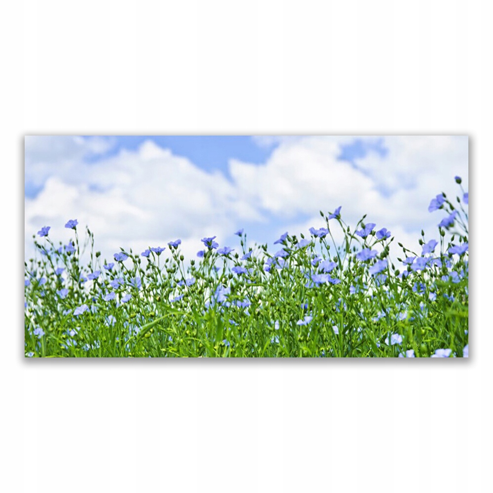 

Obraz akryl z grafiką 120x60 Kwiaty Roślina Natura