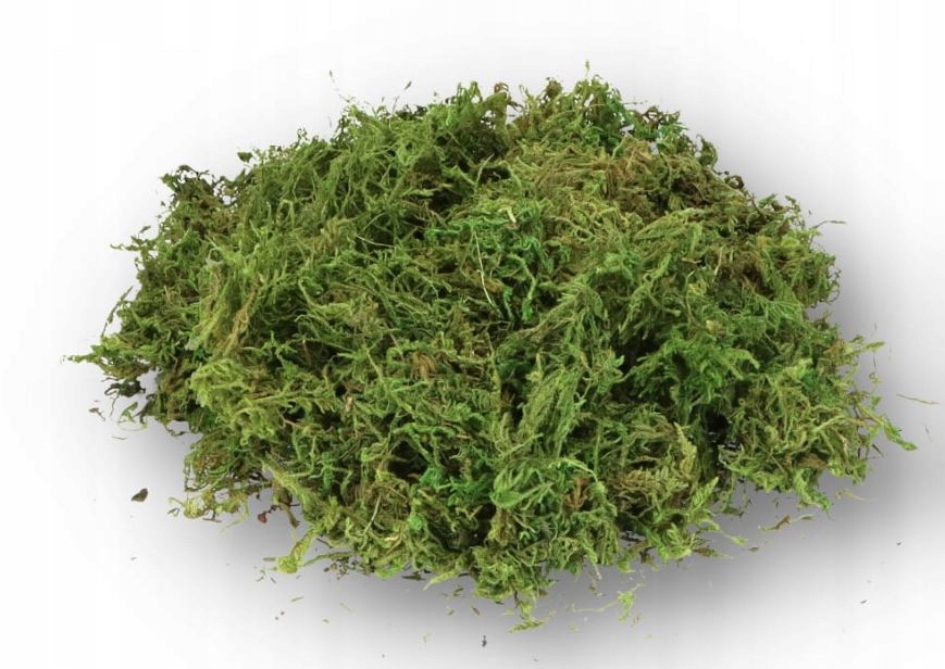 

Mech sztuczny dekoracyjny 200g