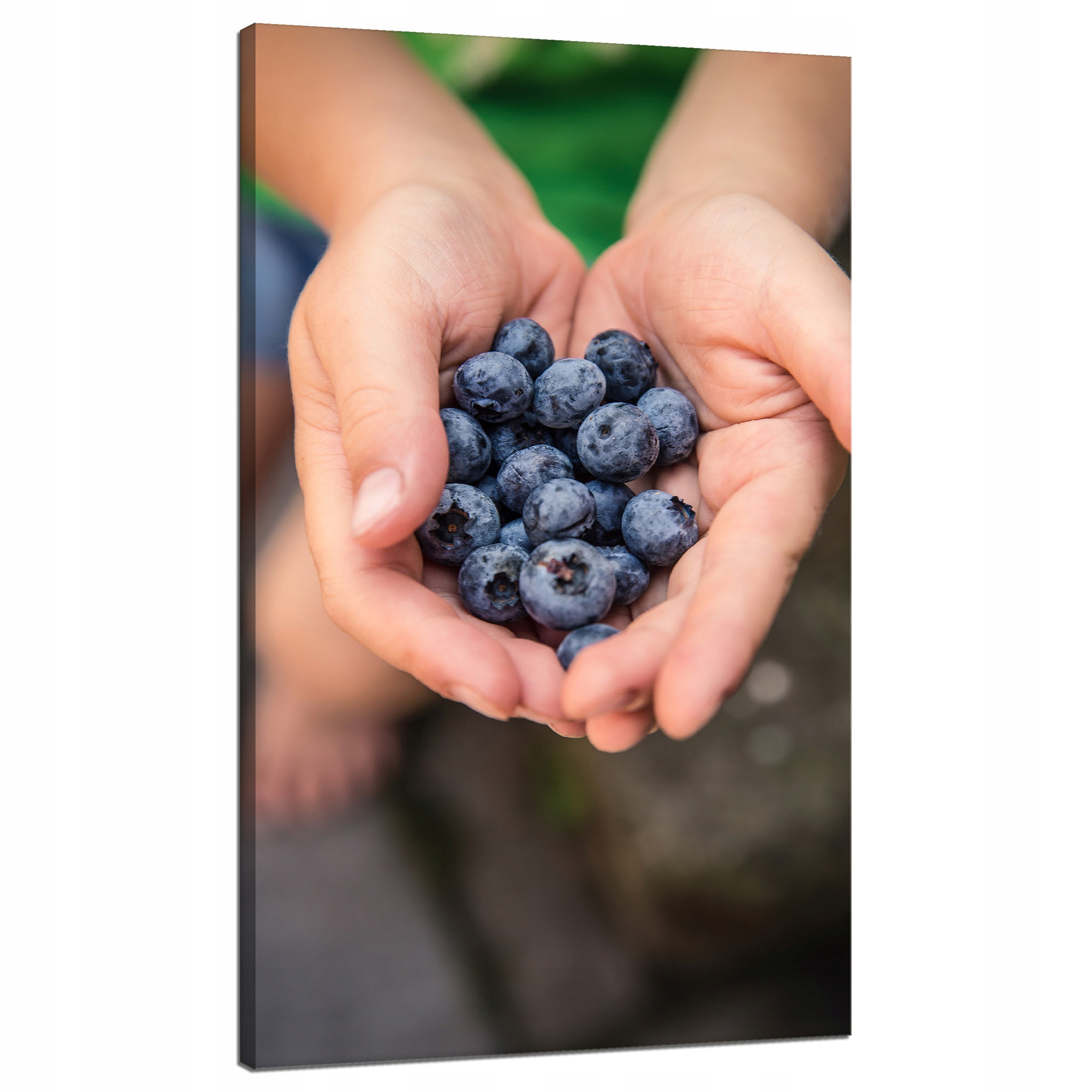 Obraz na plátně Kuchyně Borůvky Lesní ovoce Příroda 70x120 cm