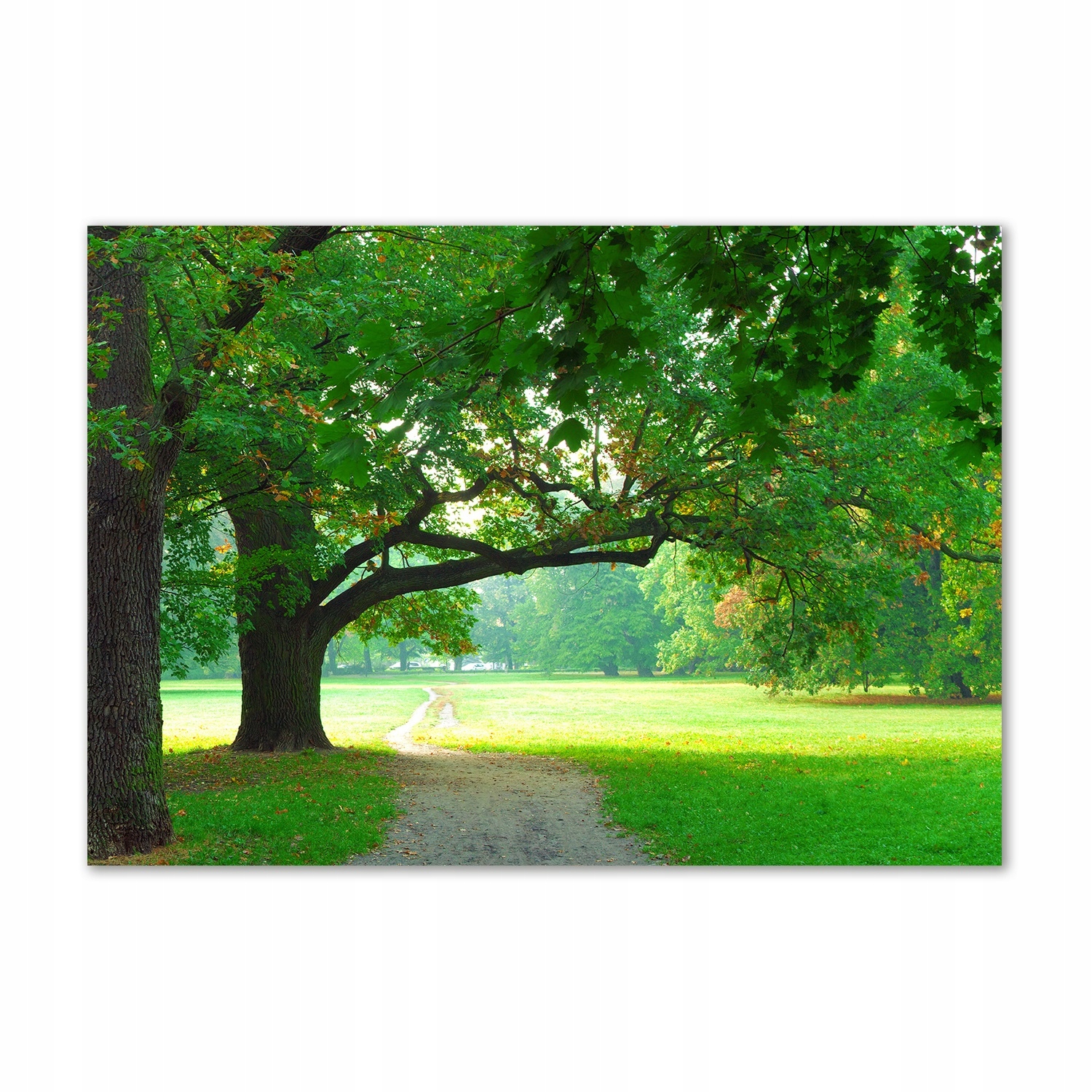 

Foto obraz szkło hartowane Park jesienią 100x70