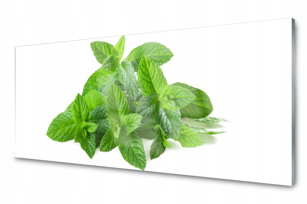 

Panel szklany do kuchni Mięta Roślina 125x50