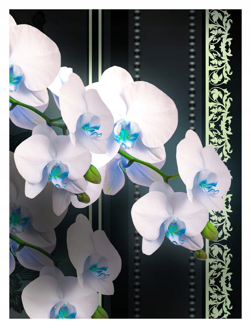 Fototapeta Orchidey biele kvety na modrom pozadí vinylová 184x254 lepidlo