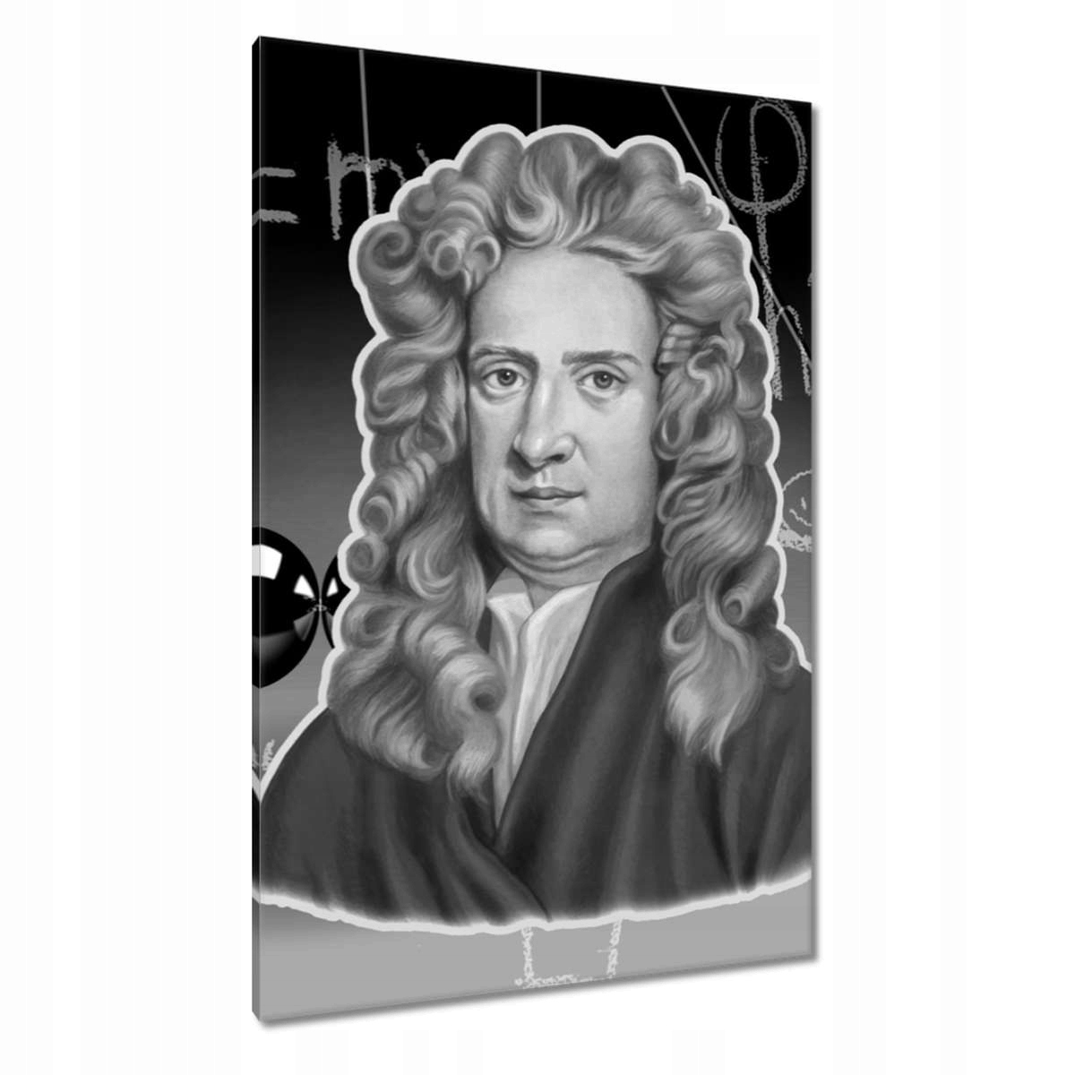 Obrazy 80x120 Isaac Newton