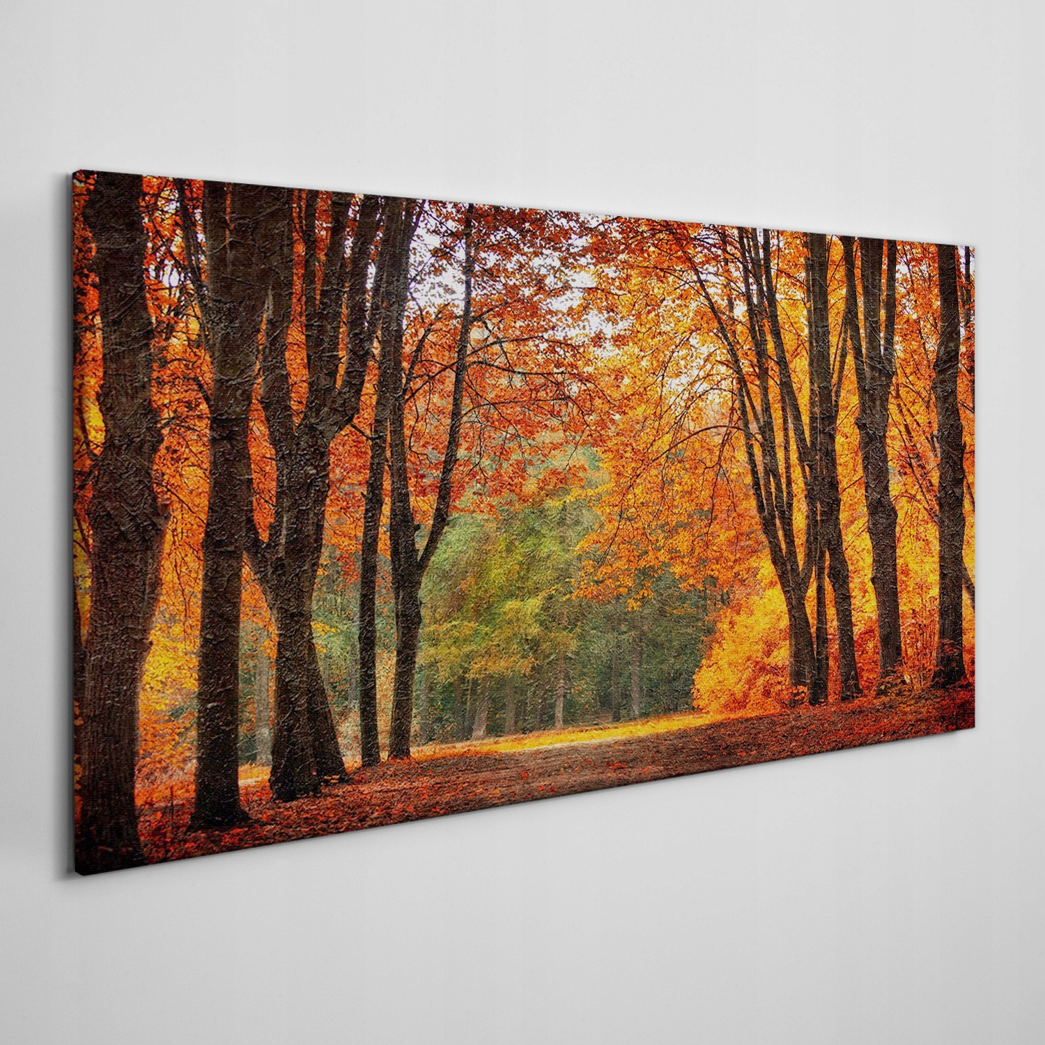 

Foto-obraz na płótnie Las jesień przyroda 120x60