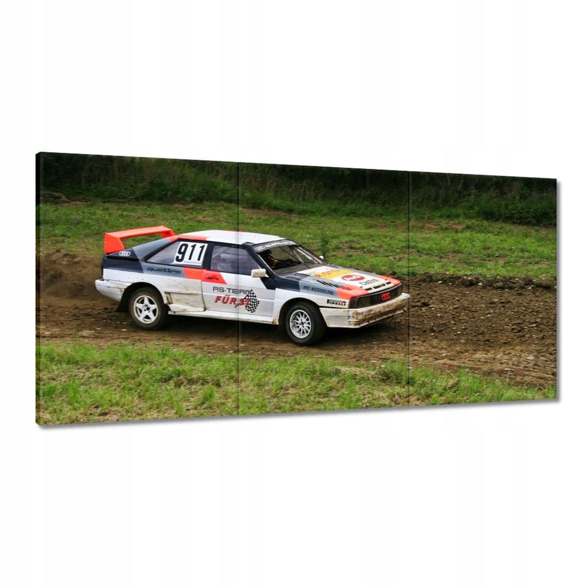 Obrazy 180x90 Audi Quattro na trase