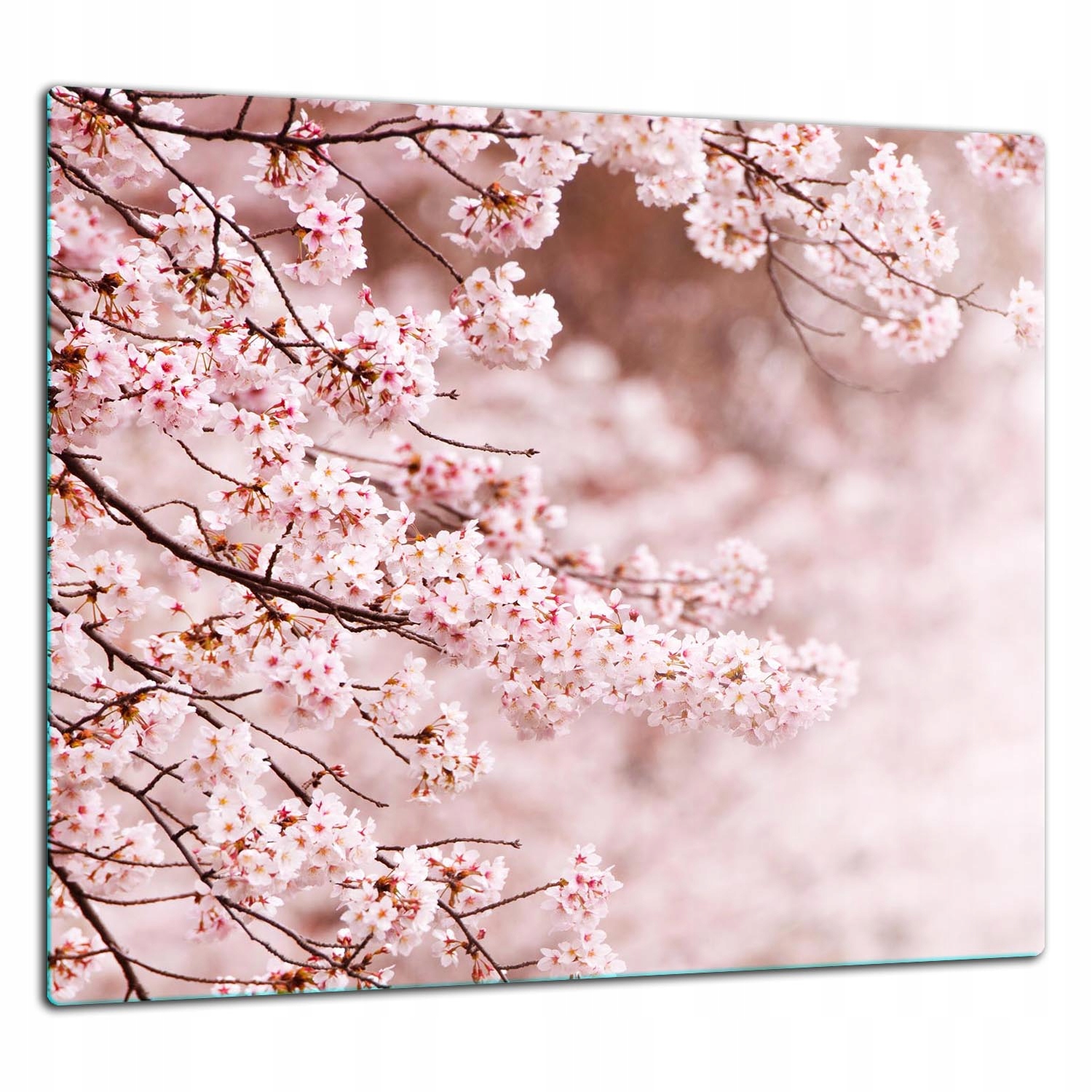 Skleněná Ochranná Deska Panel Lepidlo 65x60 Květiny Tvrzené sklo 7v1
