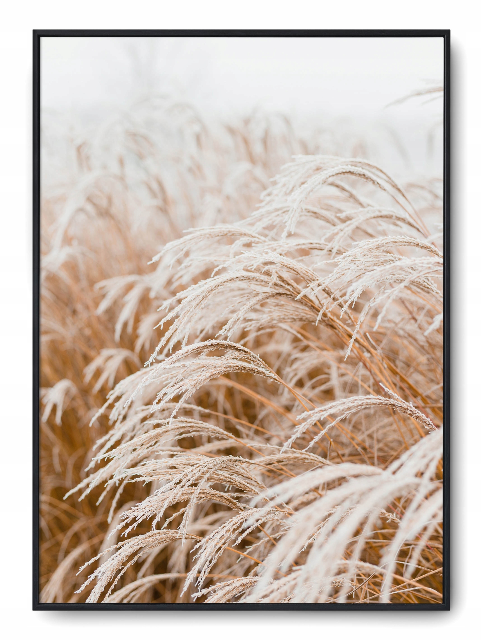 

Plakat r A4 21x30 cm Boho Natura Botanik Trawa Roś