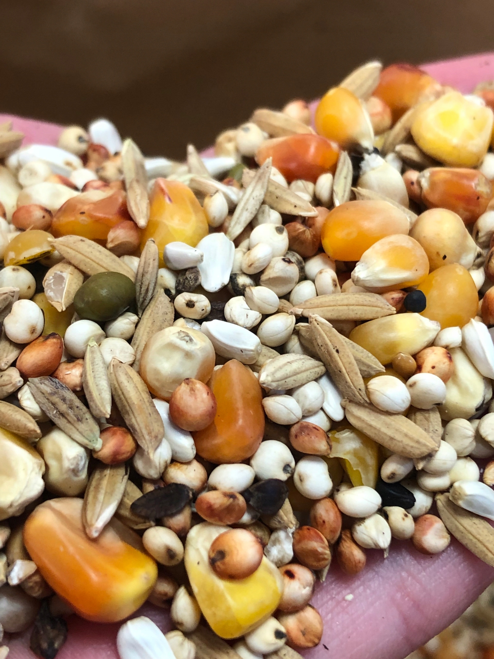 Karma pasza dla gołębi lekkostrawna LS 20kg Waga 20 kg