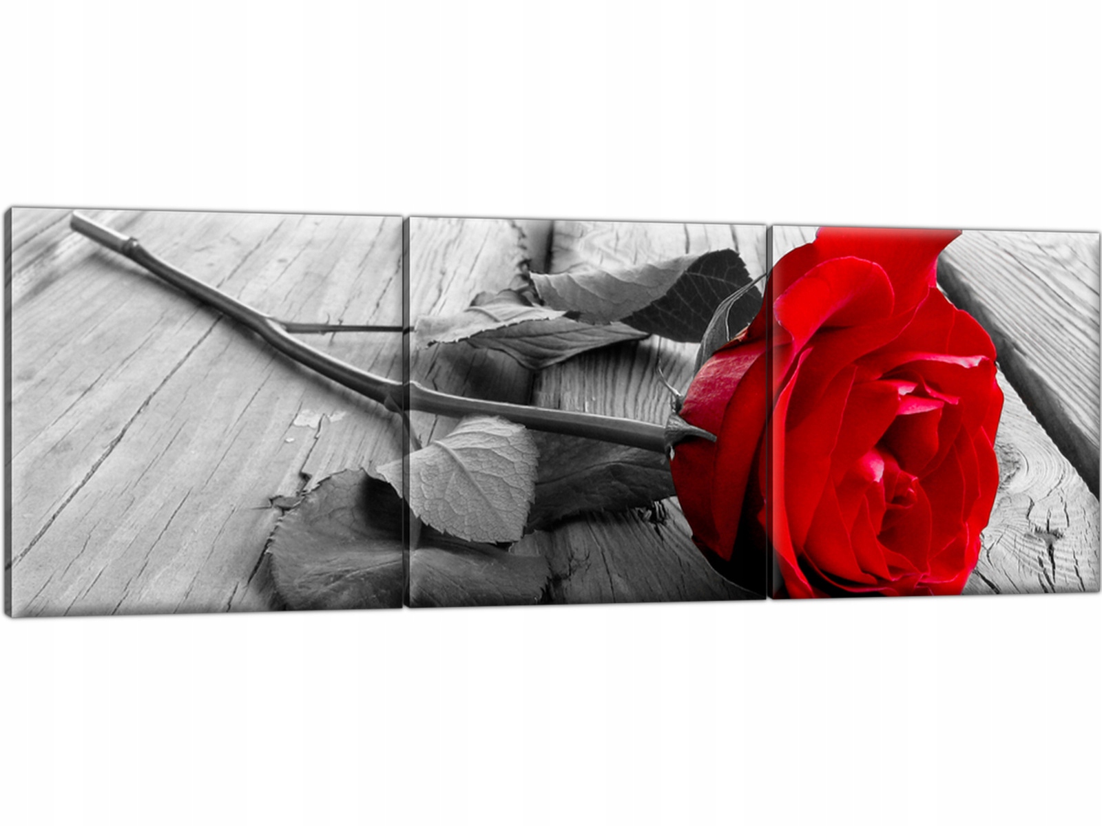 

Obraz na płótnie Tryptyk Róża 150x50 cm do salonu