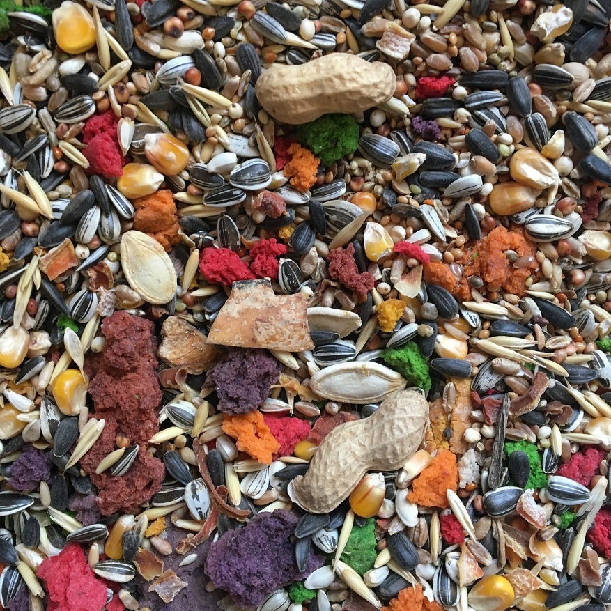 Oscar karma jedzenie dla dużej papugi 3L Marka Dako-Art