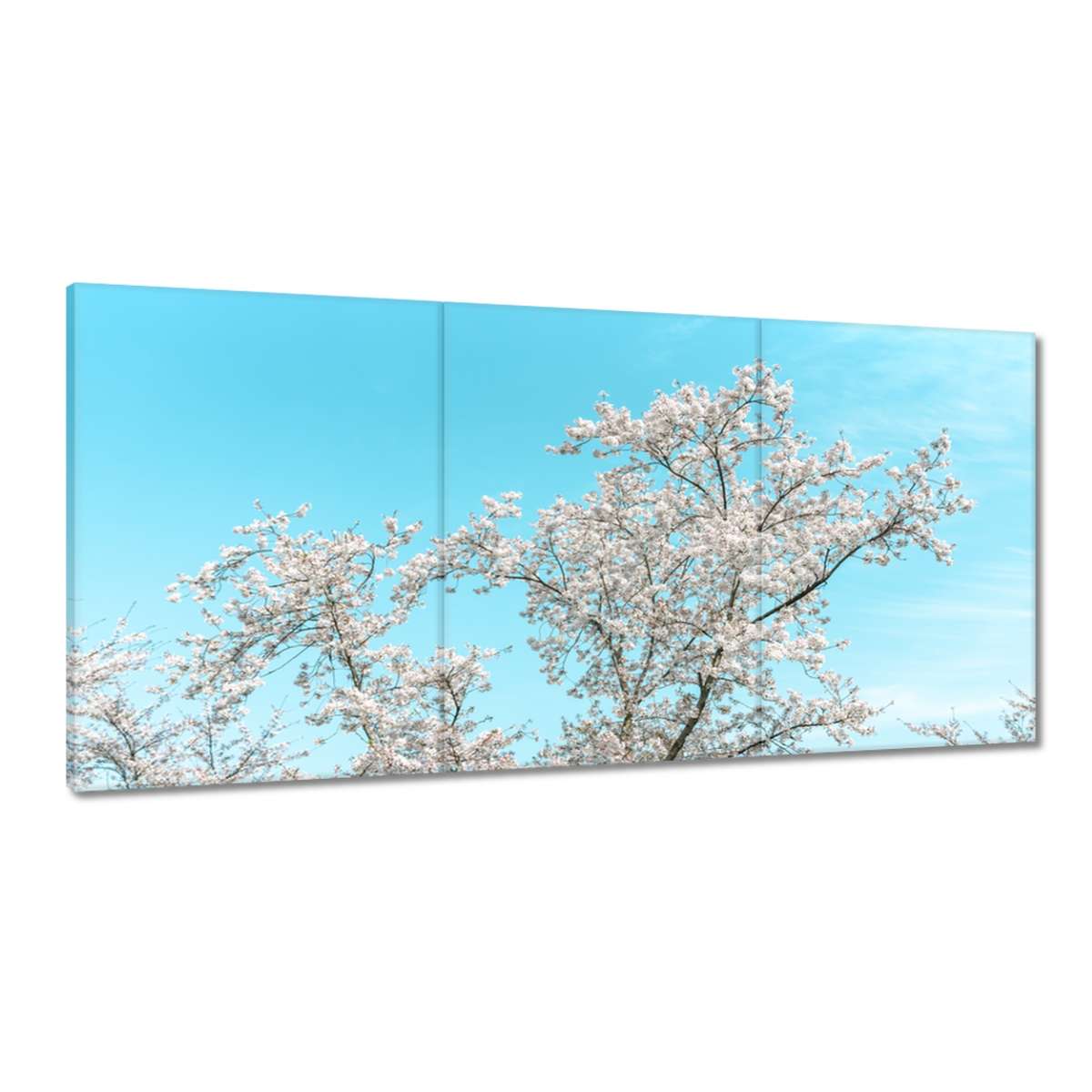 Obrazy 180x90 Jemné kvety Jar