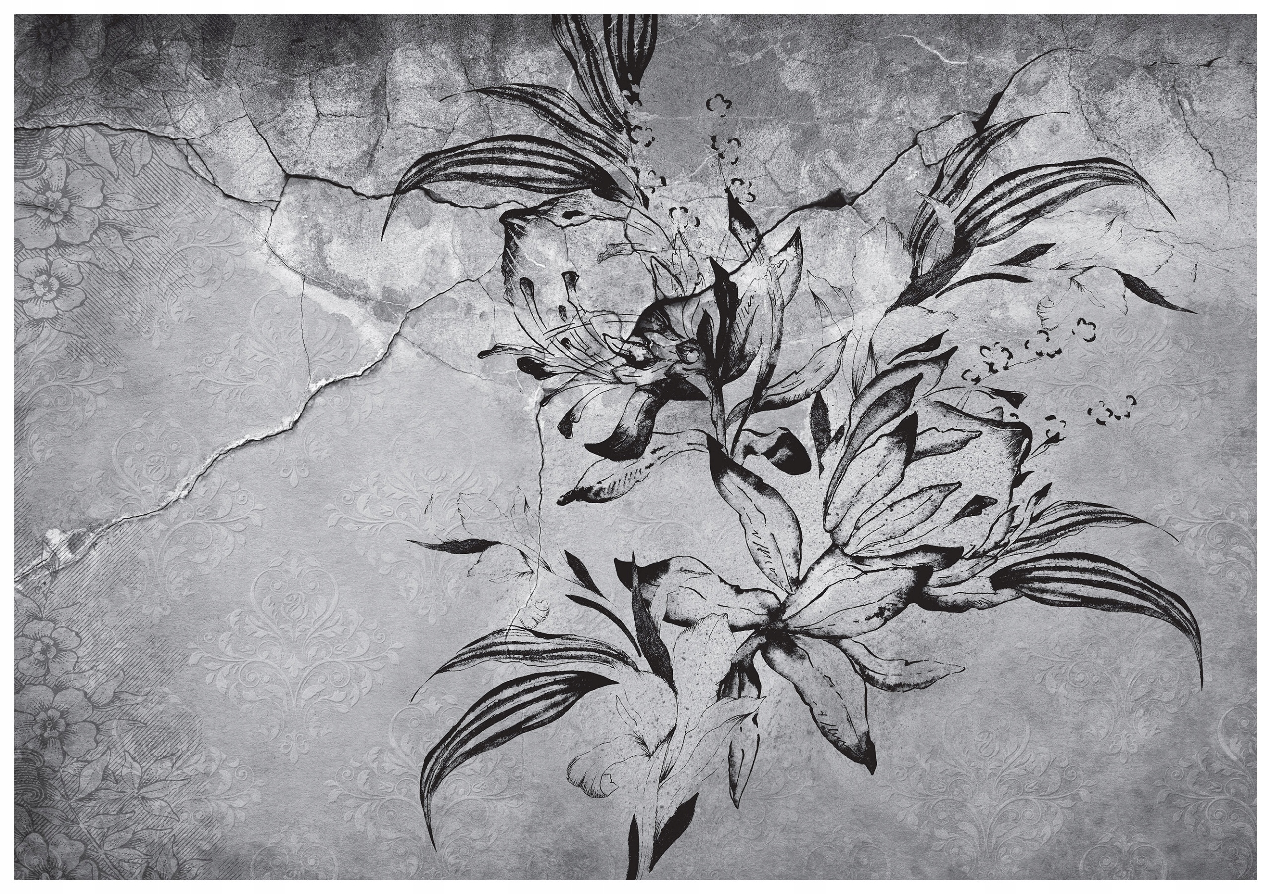 Fototapeta Lilie Irisy na zdi v černé a bílé barvě 250x175 lepidlo