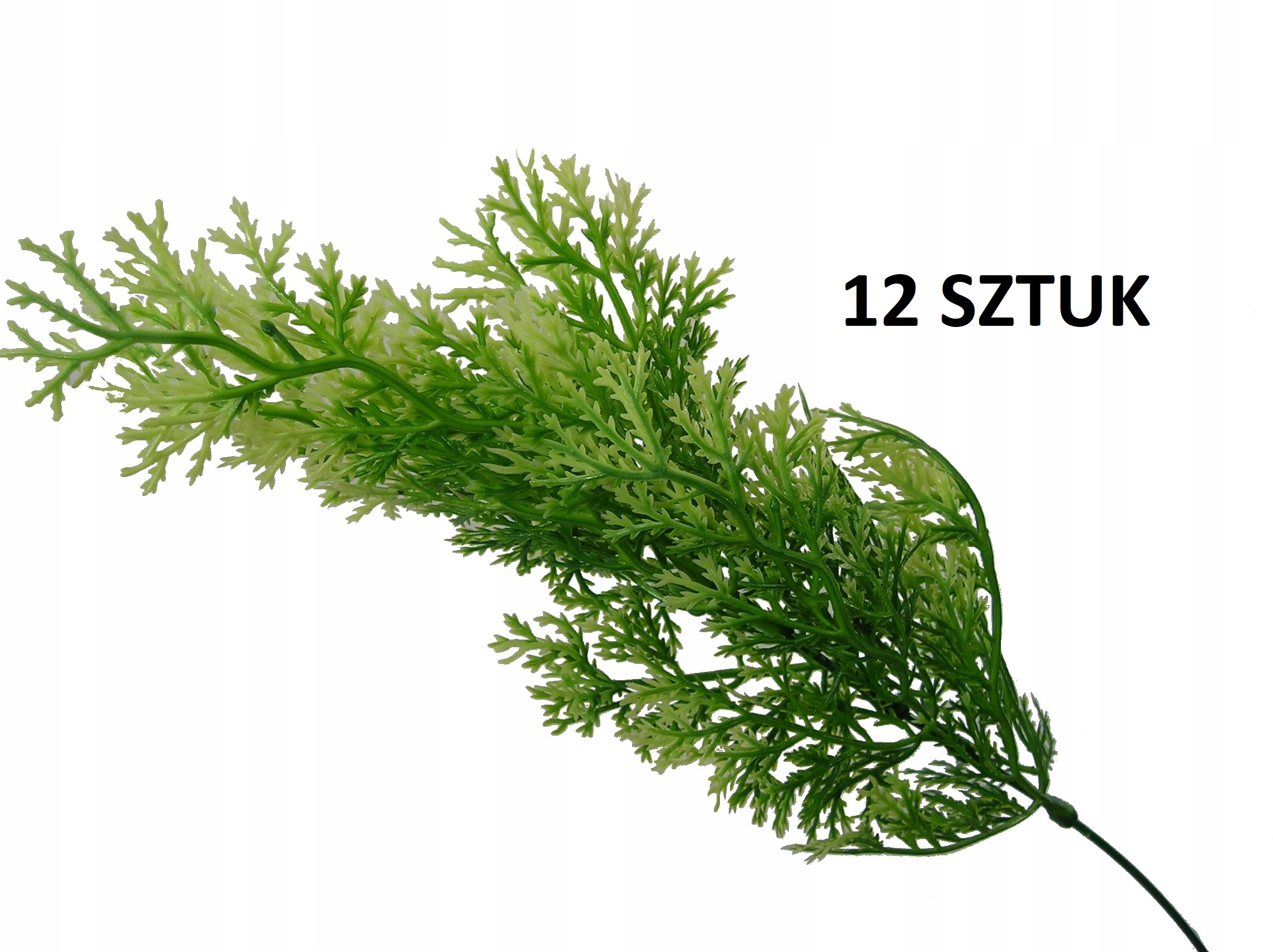 

Gałązka Dekoracyjna Tuja Komplet 12 Sztuk Gałązki