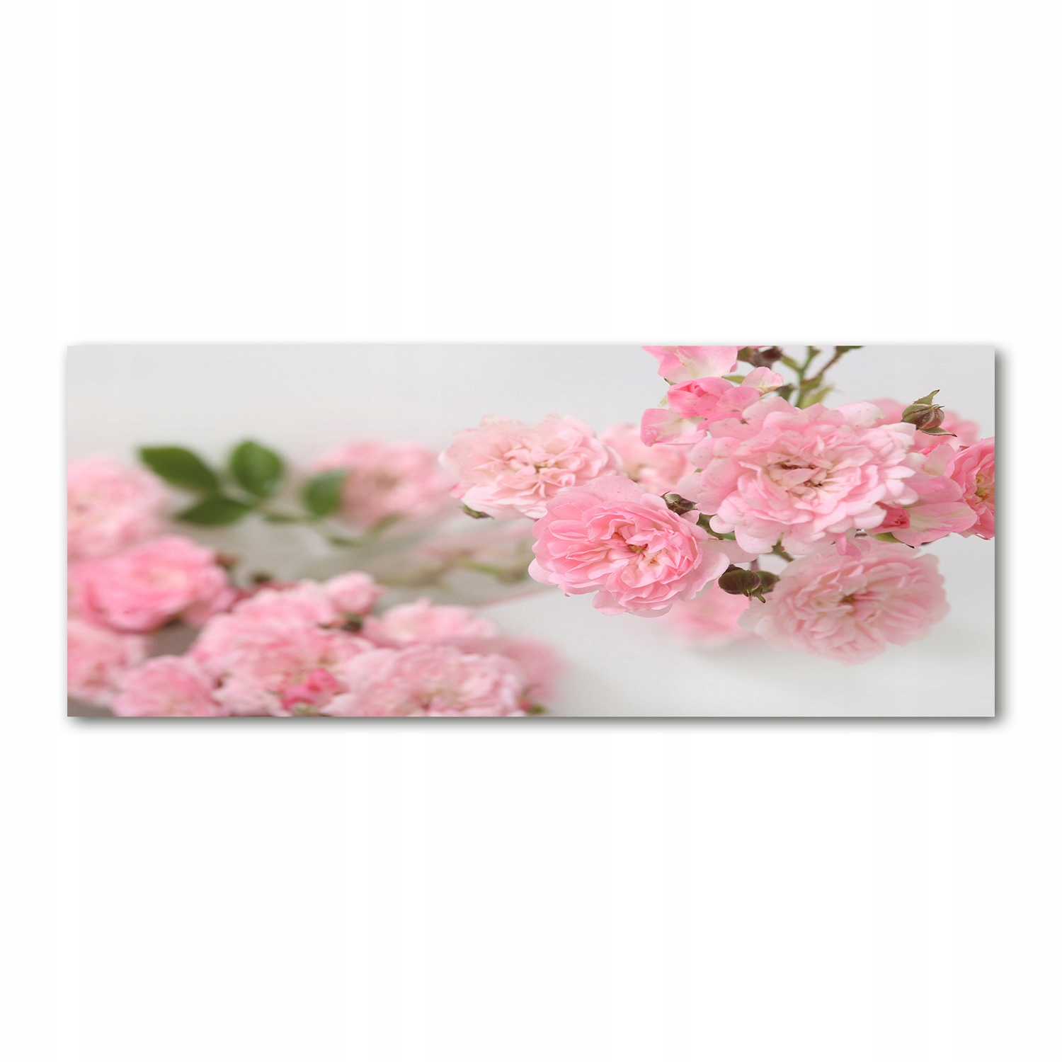 Foto obraz akryl moderní Divoké růže 125x50 cm