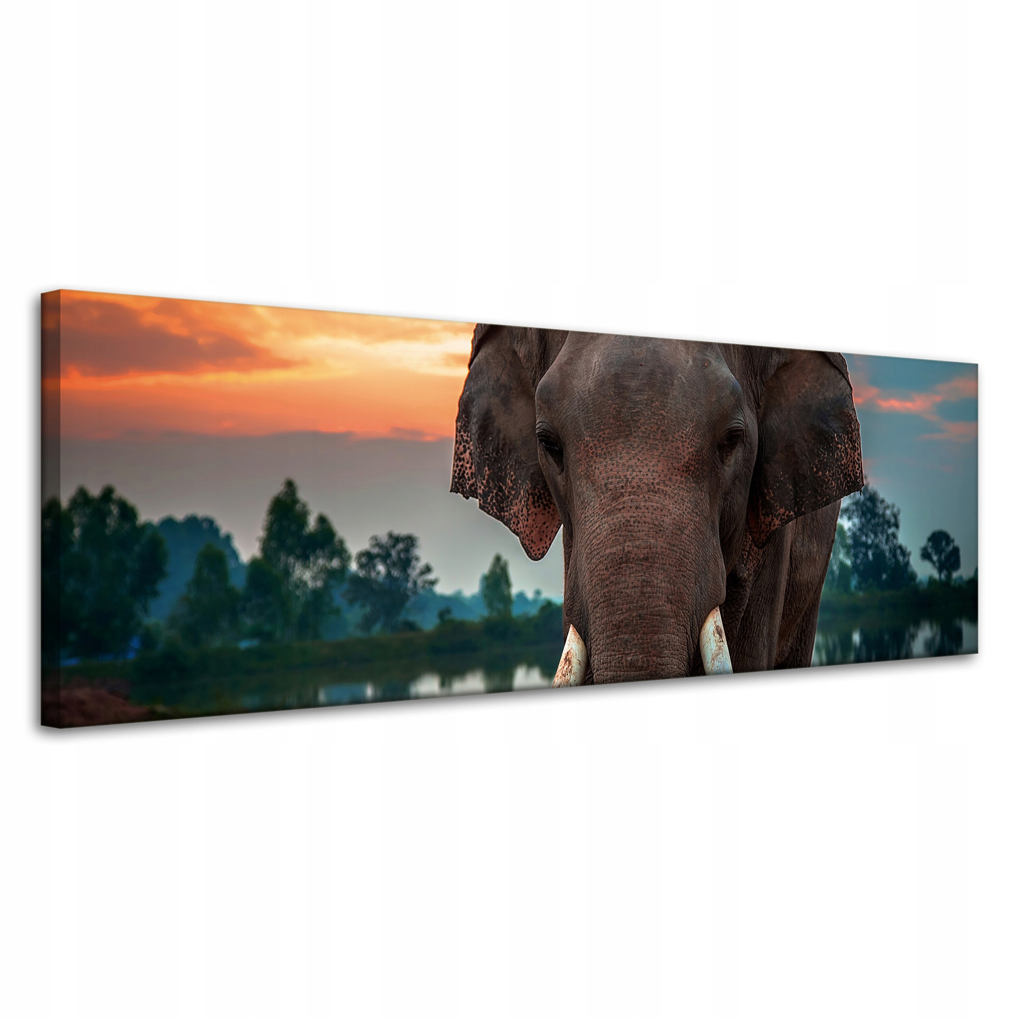 Obraz na plátně Krásná obloha Slon Příroda 120x40 cm Ideální jako dárek