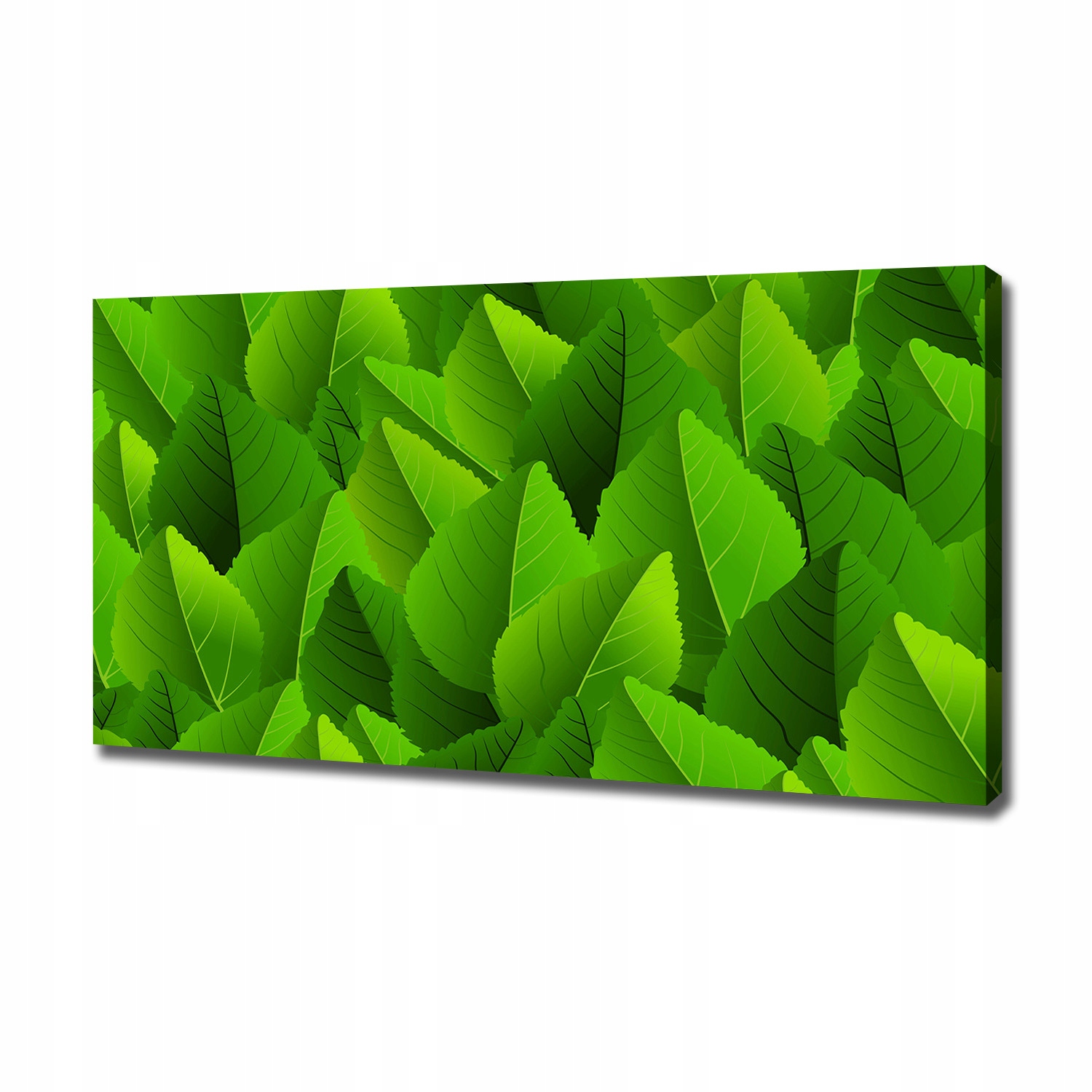 Fotoobraz obraz na plátně Zelené listy 120x60 cm