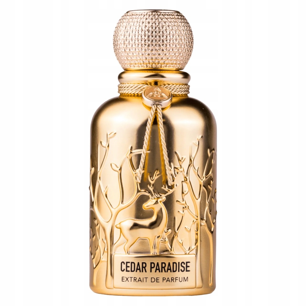 Cedar Paradise Parfémový sprej 100 ml Auraa Desire Harmonie vůní