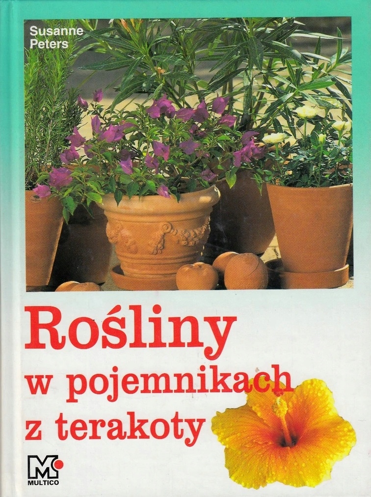 

Rośliny W Pojemnikach Z Terakoty Pomysły I Porady