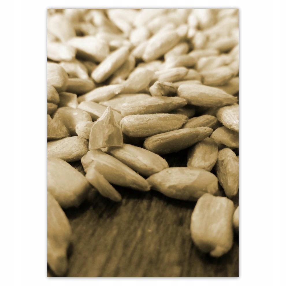 

Naklejki 50x70 Słonecznik łuskany