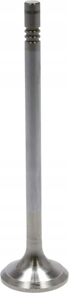 Zawór wydechowy 4903006