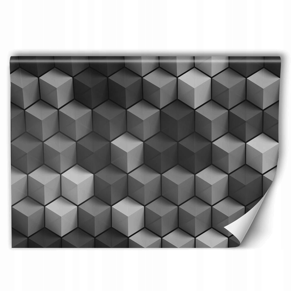 

Fototapeta 3D Abstrakcyjne Sześciany 3D 300x200