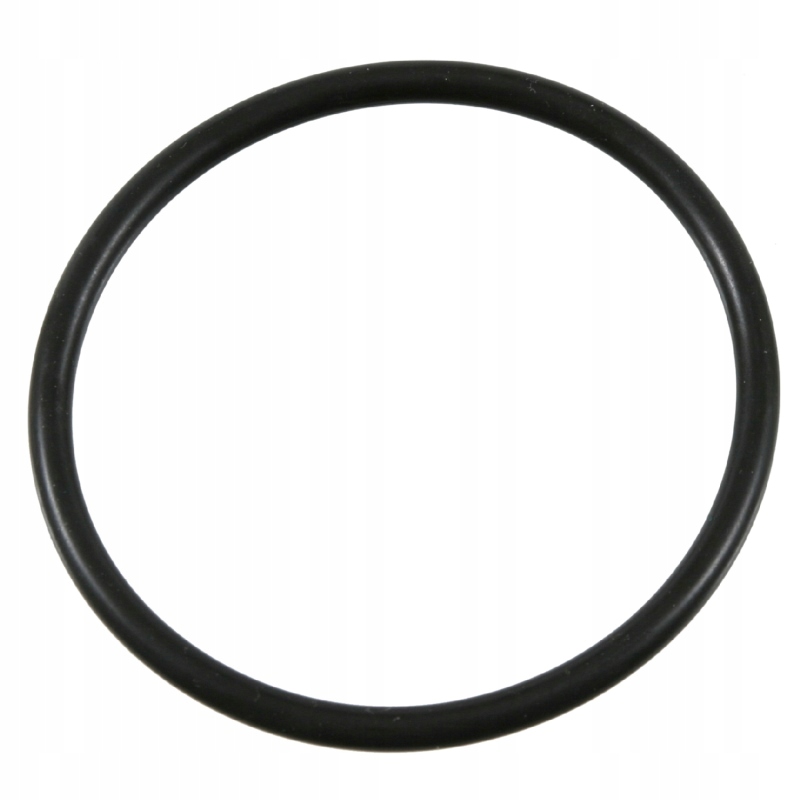 USZCZELKA O-RING do MERCEDES Touro Travego Vario Producent części Febi Bilstein