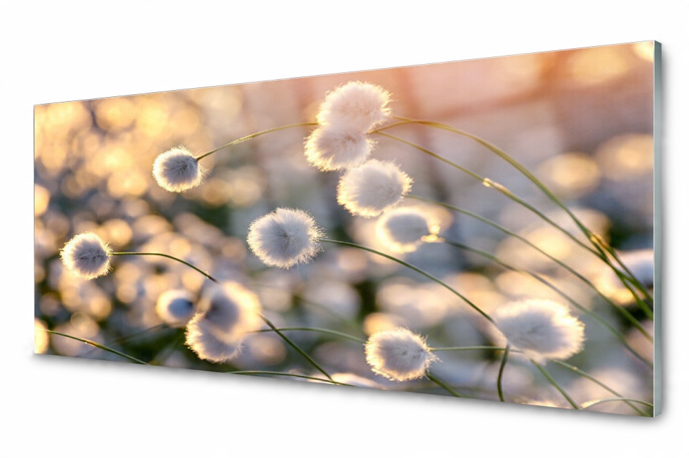 

Panel szklany do kuchni Kwiaty Roślina 125x50