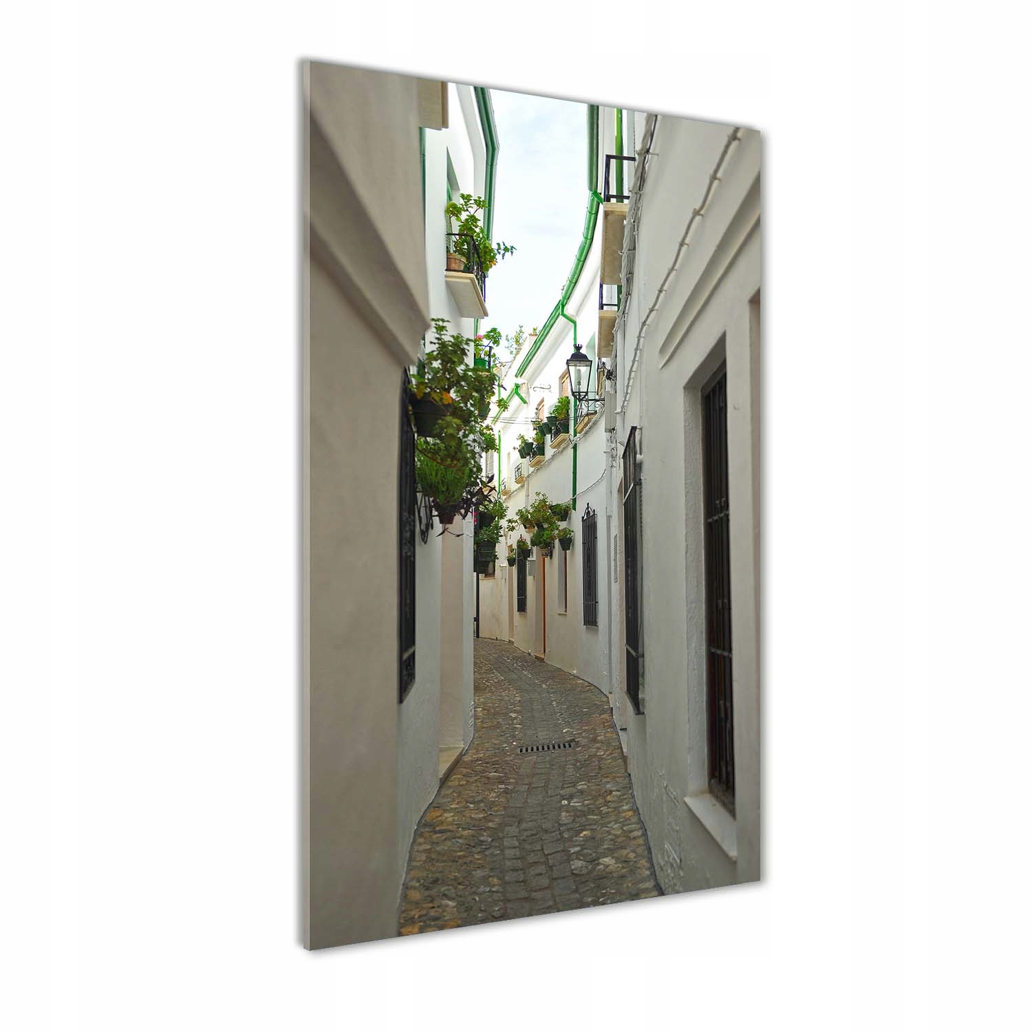 

Foto obraz na szkle Uliczki Andaluzji 60x120 cm