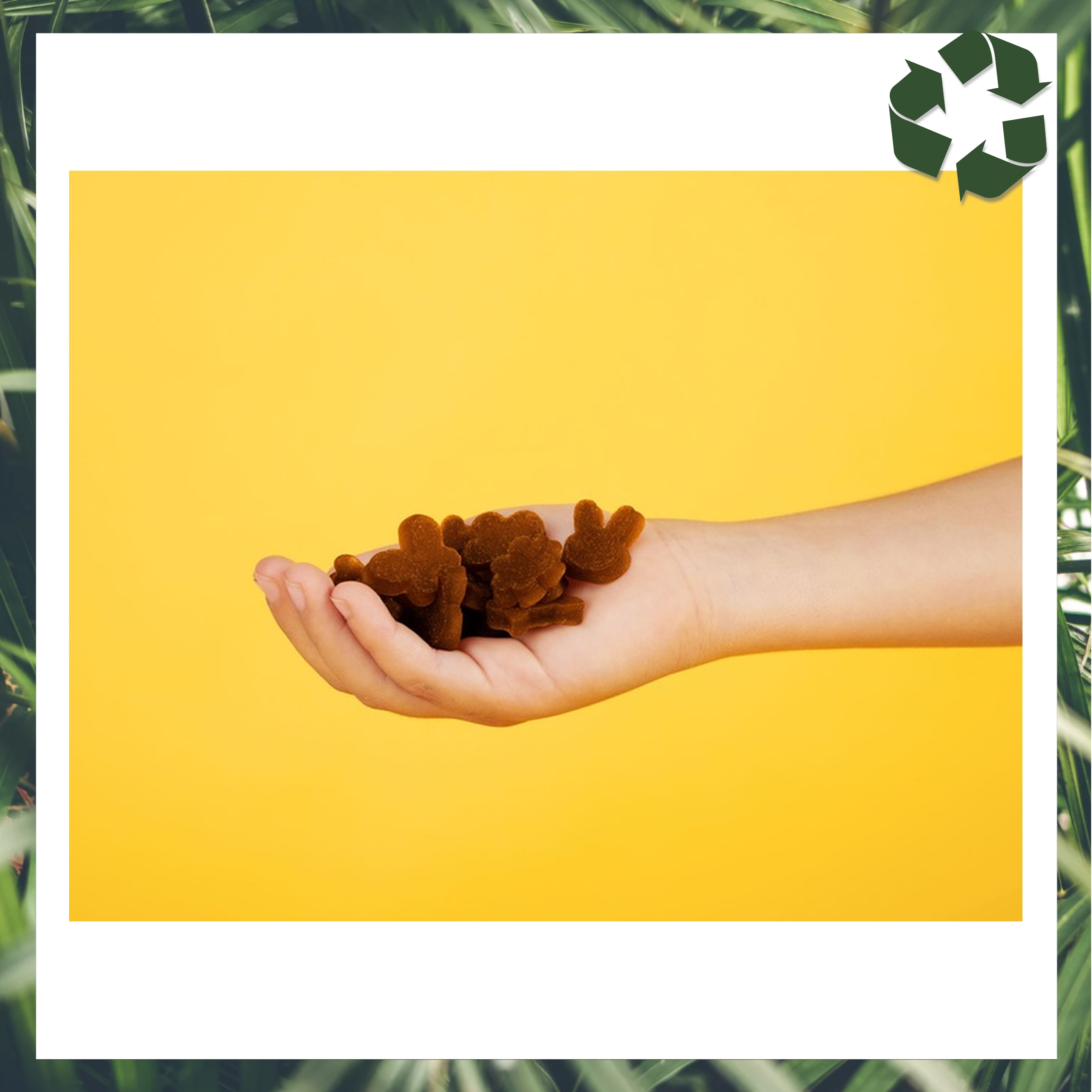 Żelki Owocowe BEZ CUKRU dla Dzieci JABŁKO I BANAN 25g x 15 sztuk KARTON Wiek podawania brak informacji