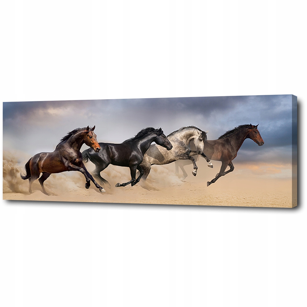 

Obraz druk na płótnie Galopujące konie 145x45