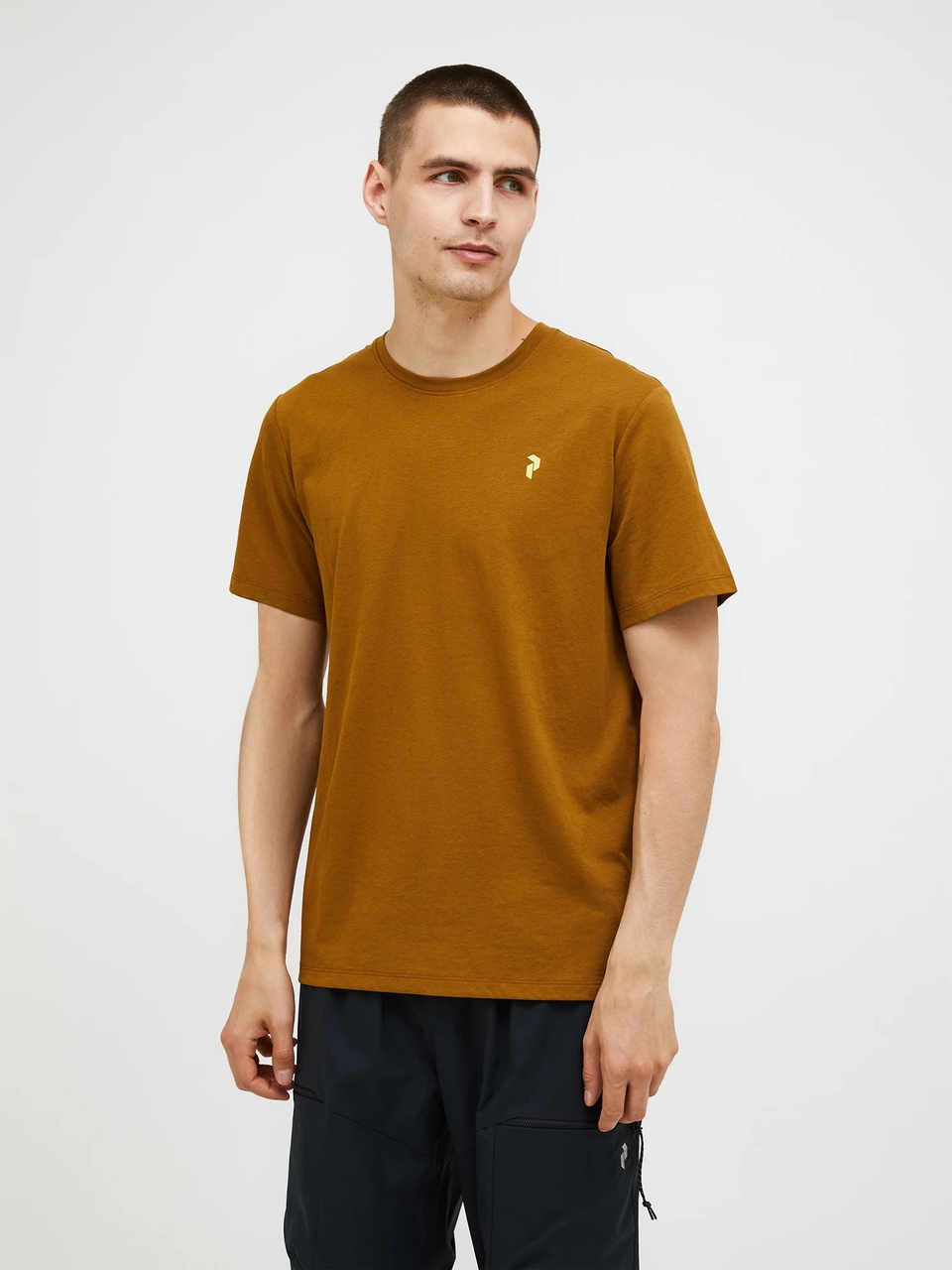 Peak Performance Pánské Tričko Explore Graphic Eart Summit XL