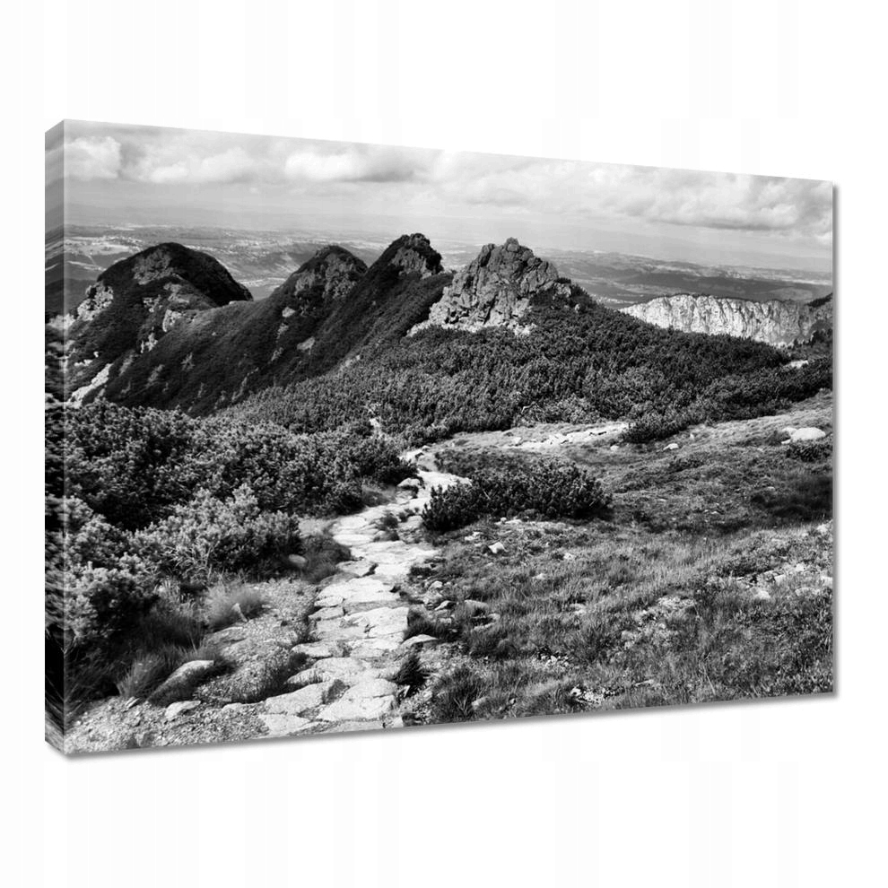 

Obrazy 40x30 Tatry Polskie góry Widok