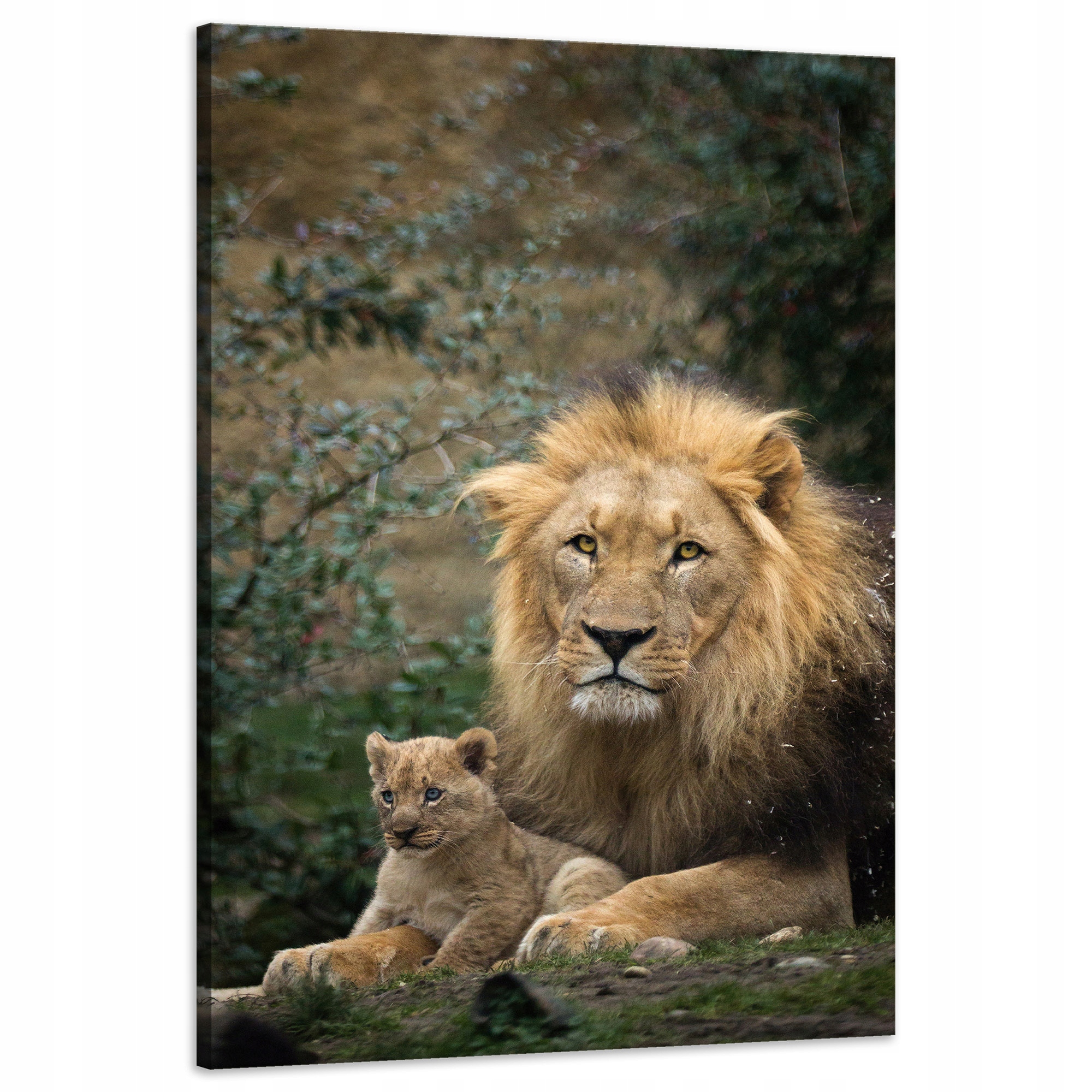 Obraz na plátně Lev a Lvíče Příroda Stromy Příroda 60x90 cm