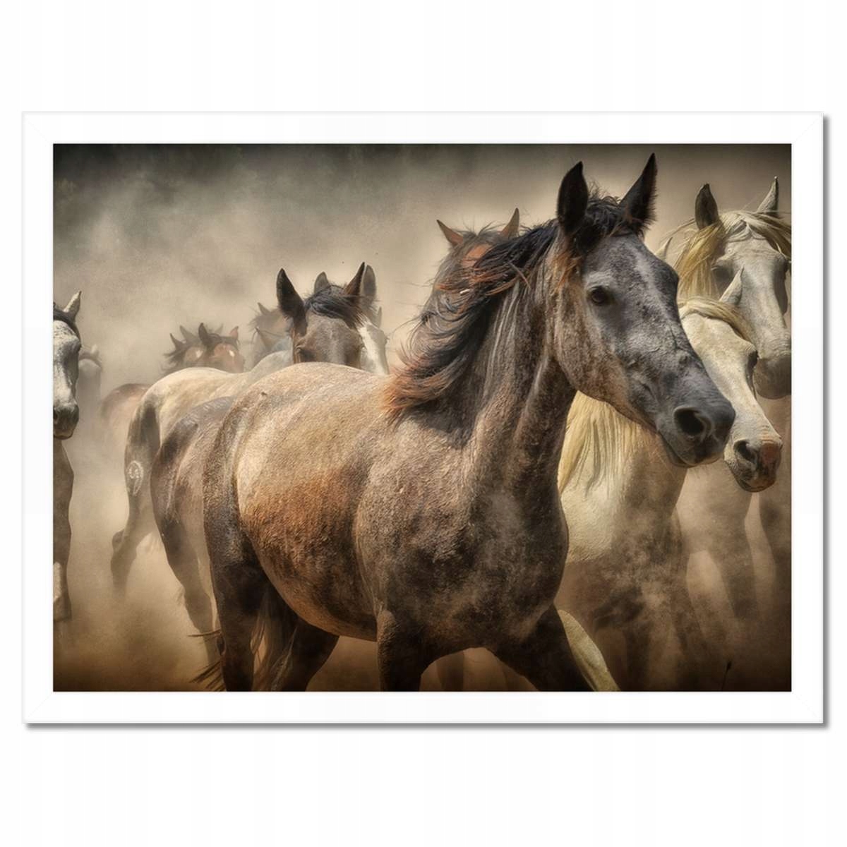 Plakáty v rámu 40x30 Kůň Koně Jezdectví