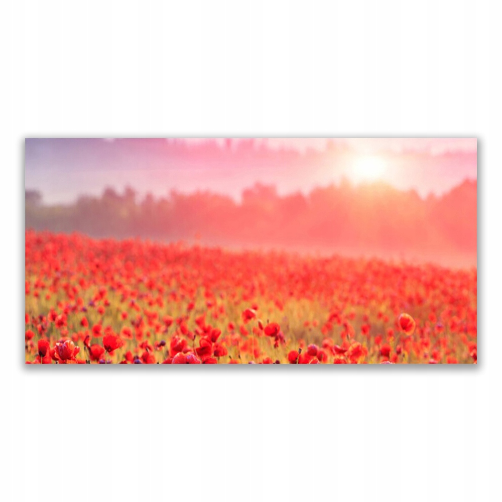 

Fotoobraz akryl 120x60 Łąka Kwiaty Natura Roślina