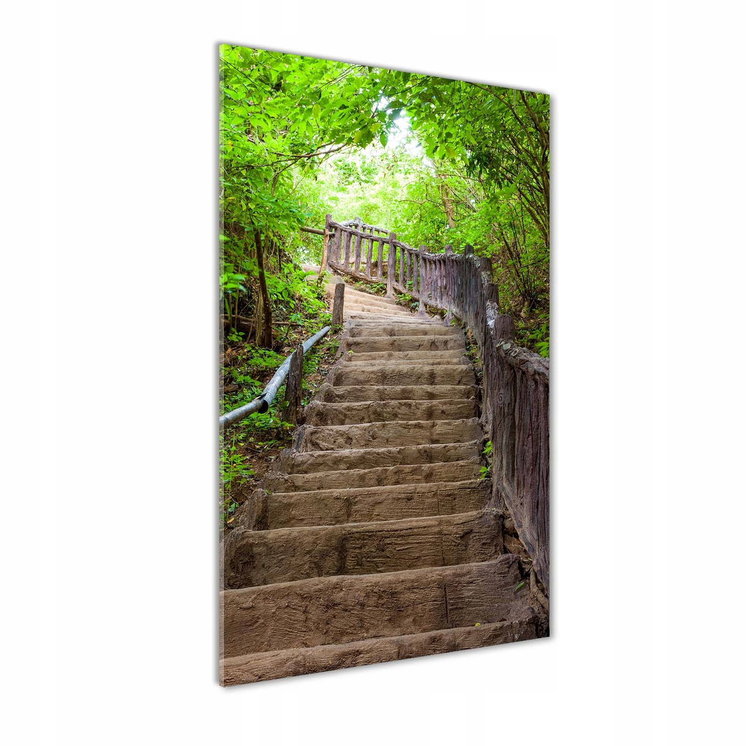 

Foto obraz zdjęcie na szkle Schody w lesie 60x120