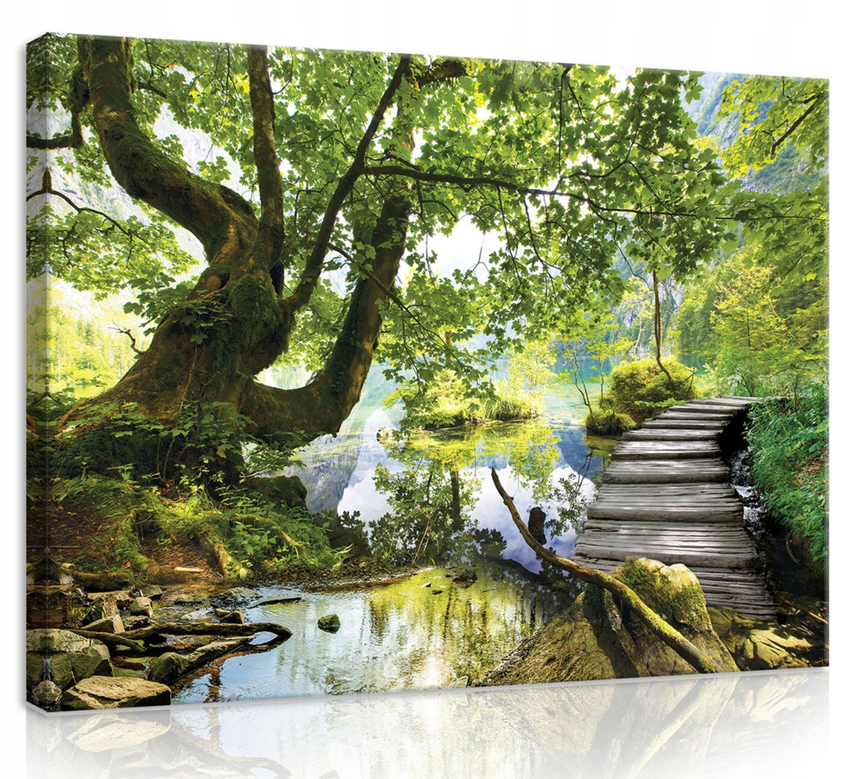 Obraz Na Plátně Canvas 100x75 Kladka Voda Krajina