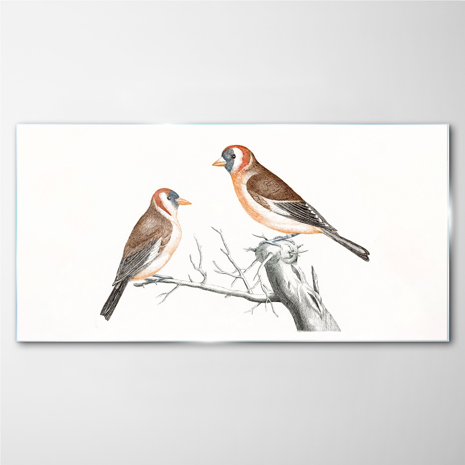 

Foto-obraz szklany Zwierzę ptak oddział 140x70 cm